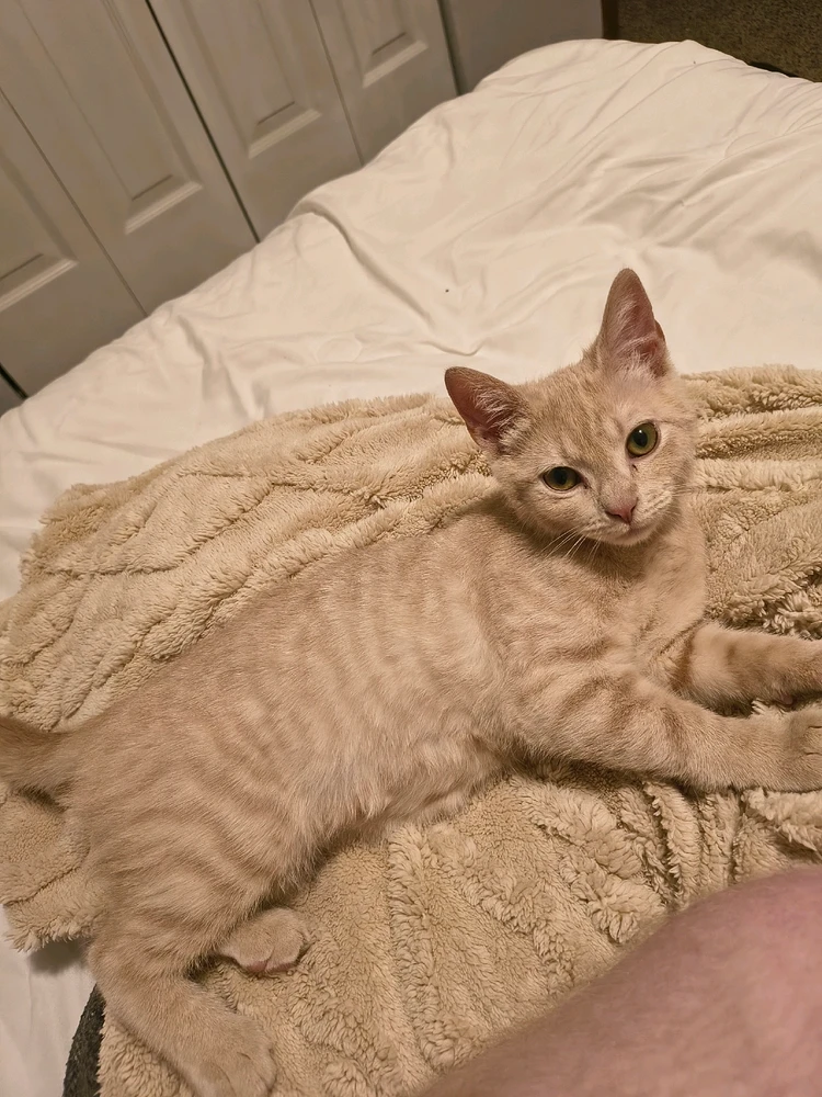 GIF uploaded by Austin