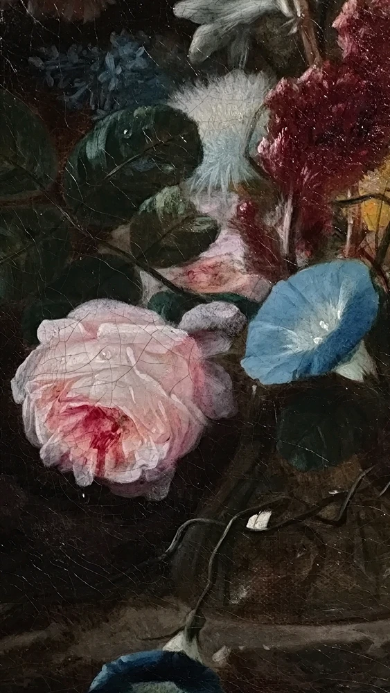 玨上傳的圖片