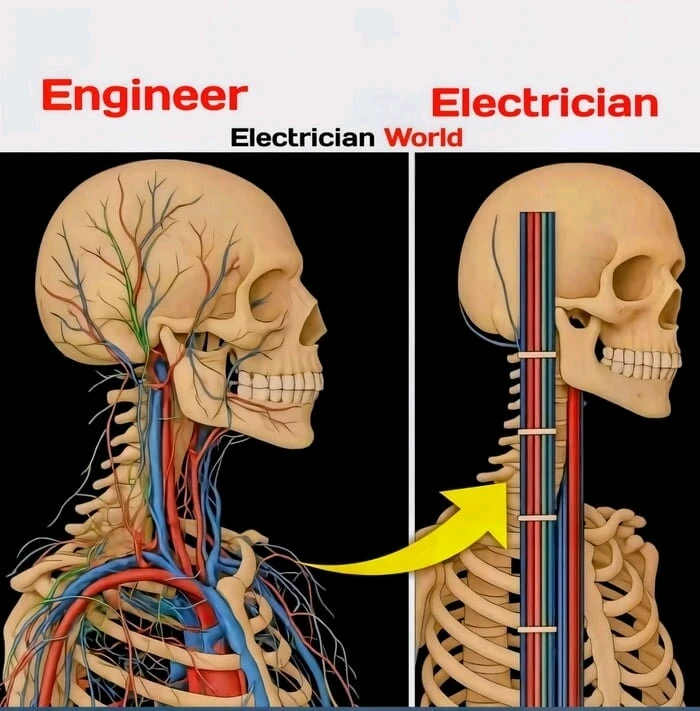 GIF uploaded by PaweΕ Piotr ZabΕocki