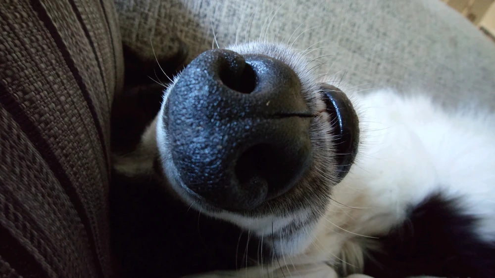 Image uploaded by CheffieGR