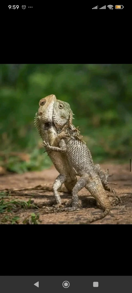 Image uploaded by Andrei