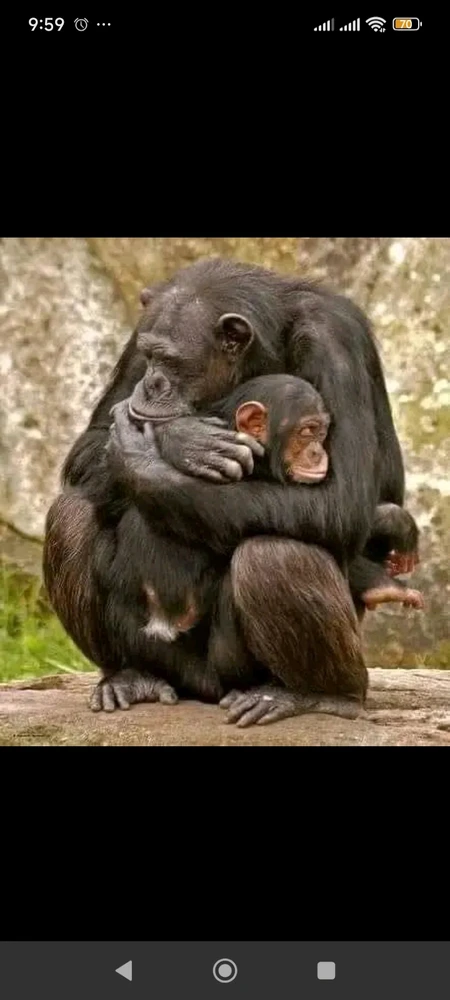 Image uploaded by Andrei