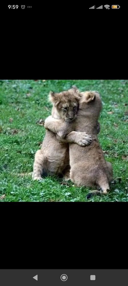 Image uploaded by Andrei