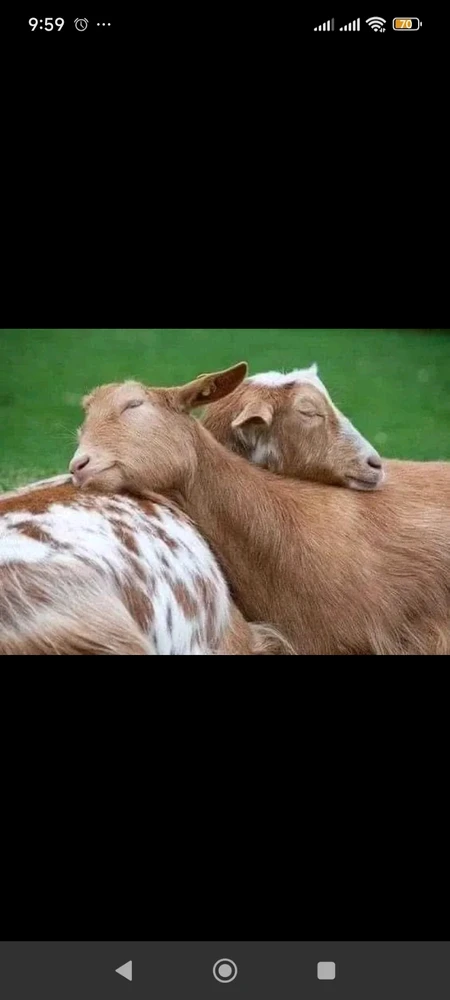 Image uploaded by Andrei