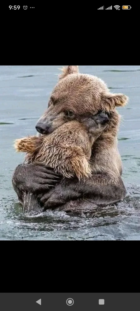 Image uploaded by Andrei