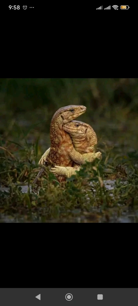 Image uploaded by Andrei