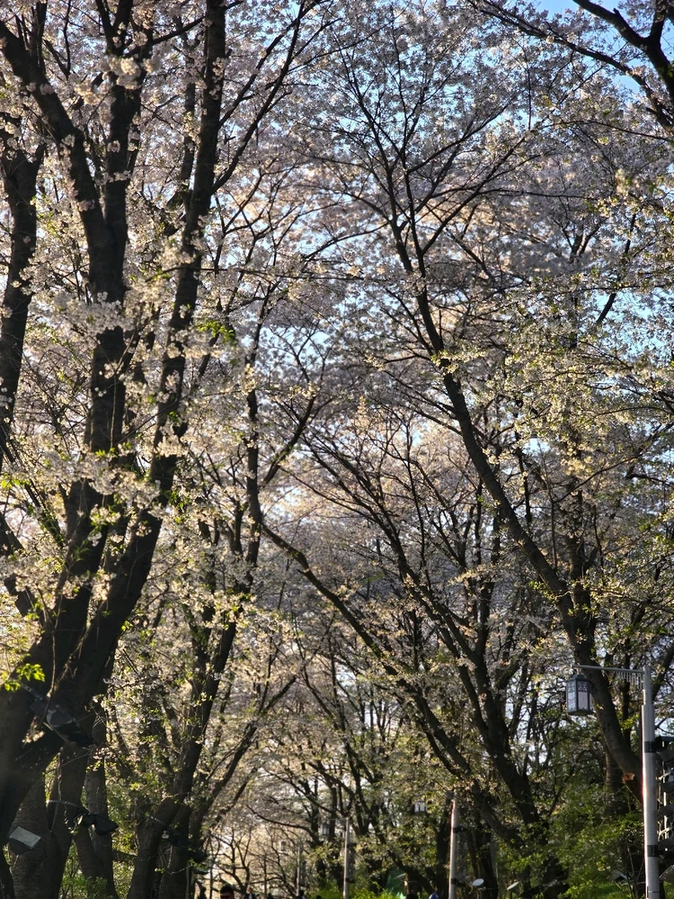 GIF uploaded by Antonette