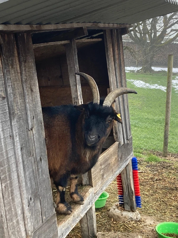 GIF uploaded by πβ¨β³β―ππΆππΎππβ―β¨π