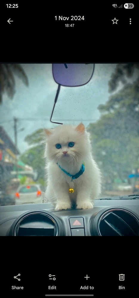 GIF uploaded by Sathish Chan