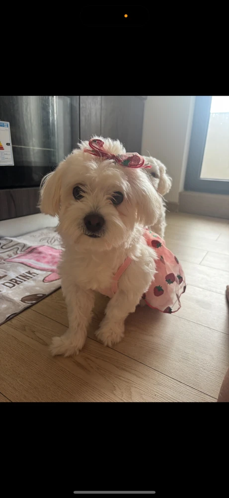 GIF încărcat de Bianca