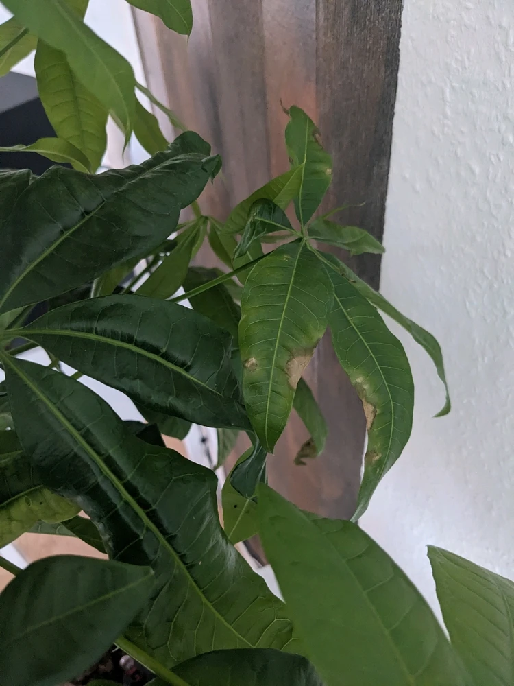 Bild hochgeladen von Dennis