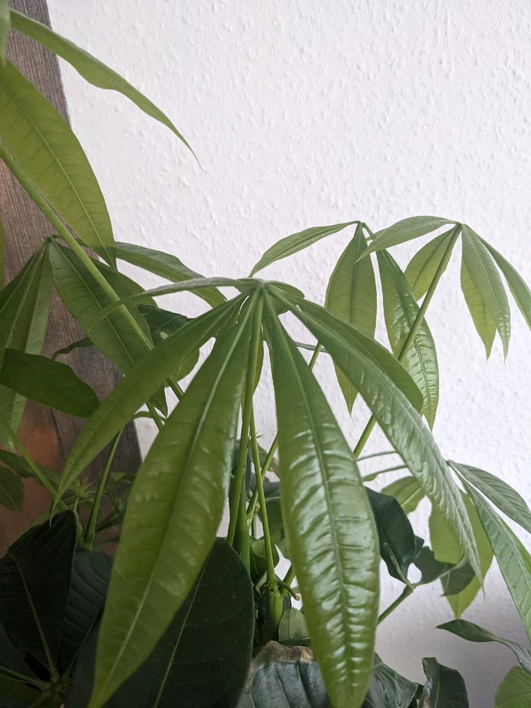 Bild hochgeladen von Dennis