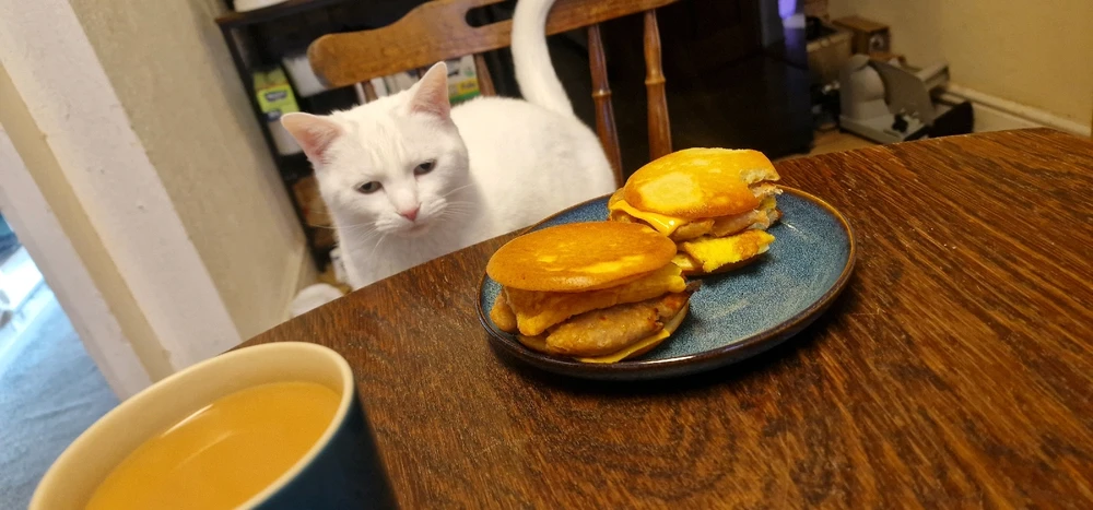 GIF uploaded by Ryan