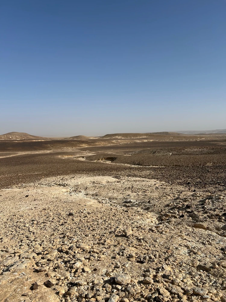 GIF uploaded by Yaara