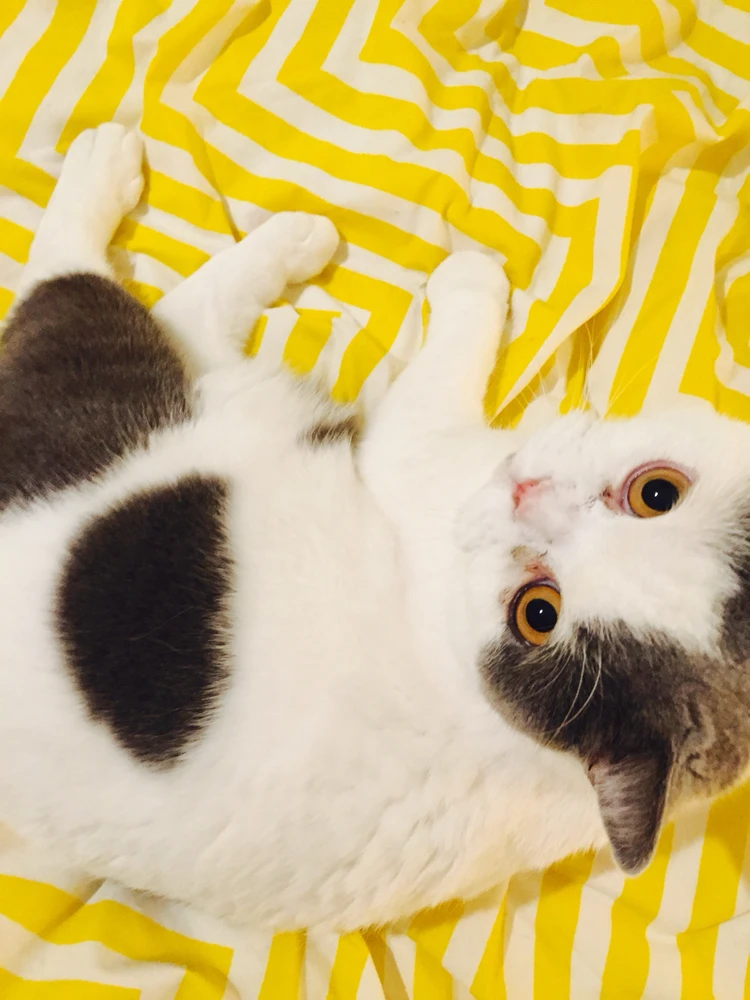 Image uploaded by Kim