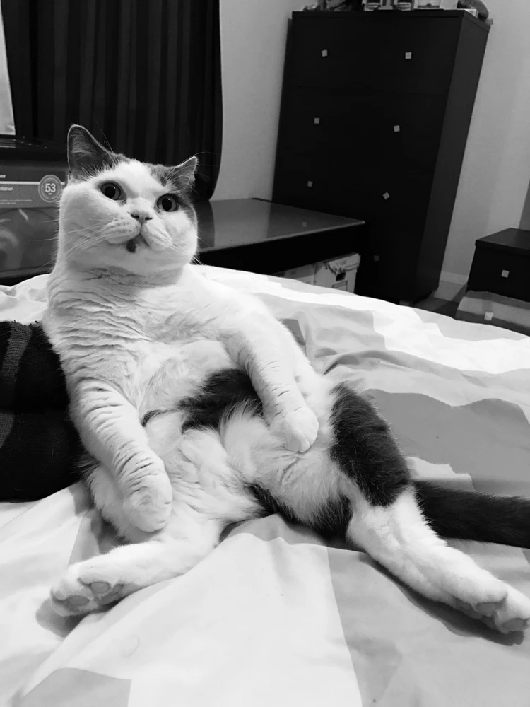 Image uploaded by Kim