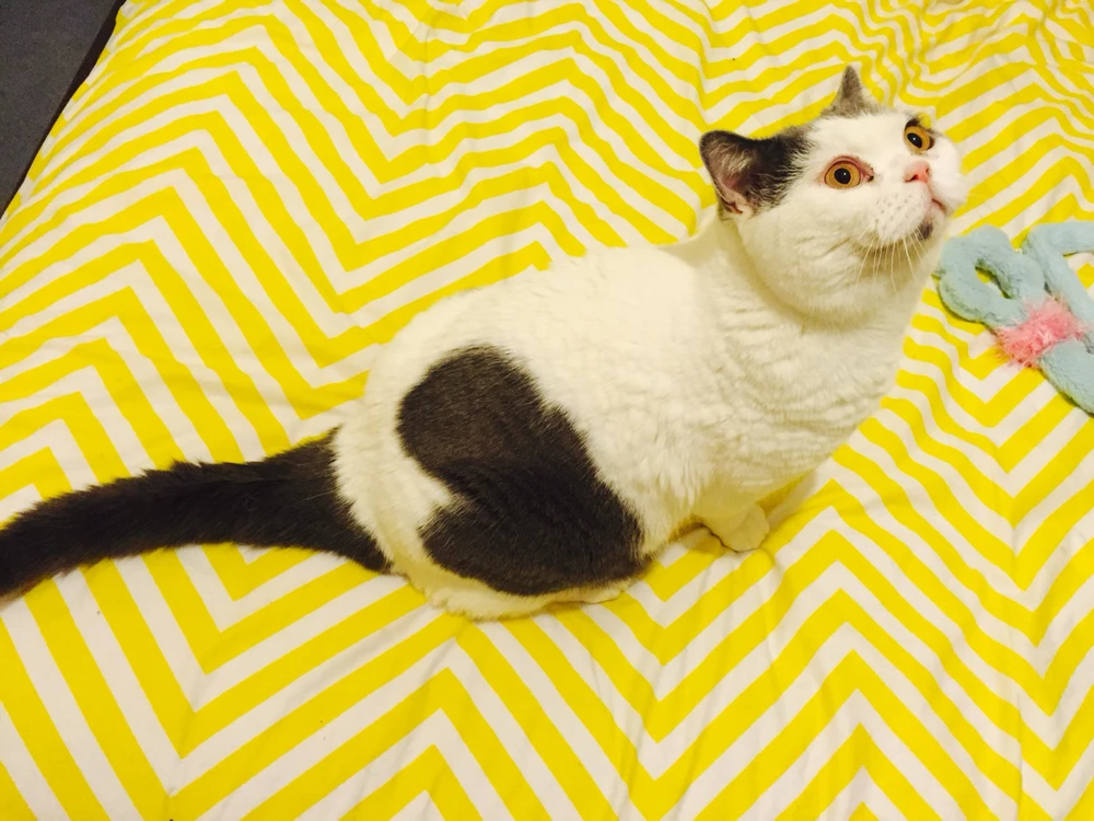 Image uploaded by Kim