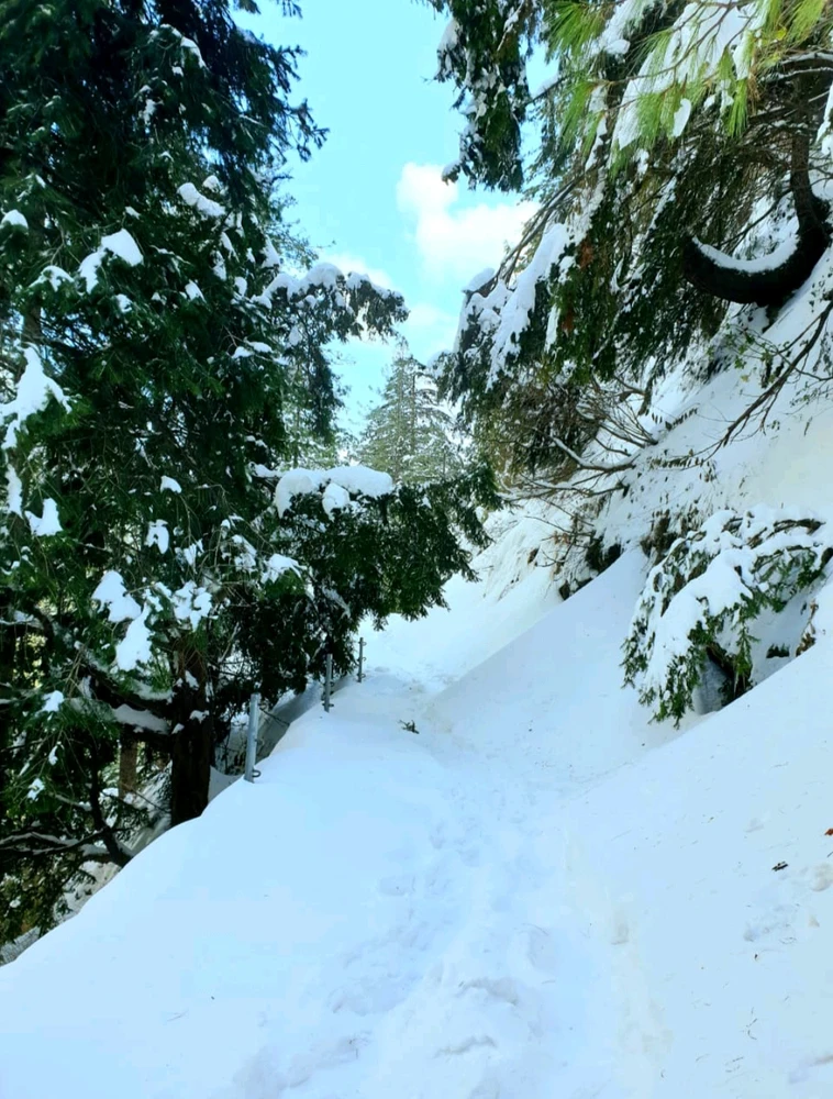 Image uploaded by Zaidi