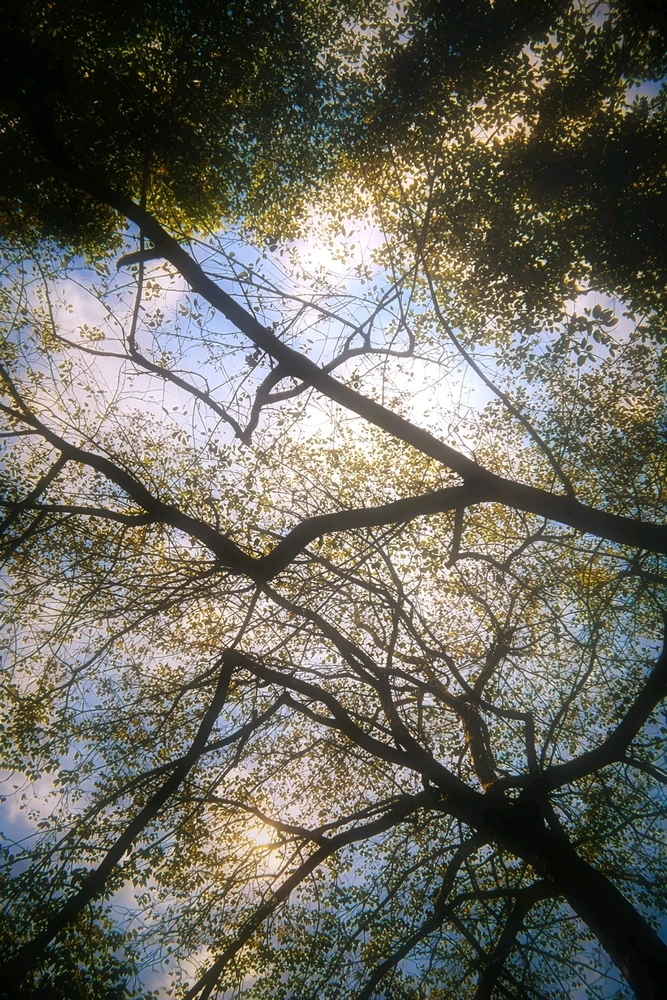 GIF uploaded by Yogesh Kashyap