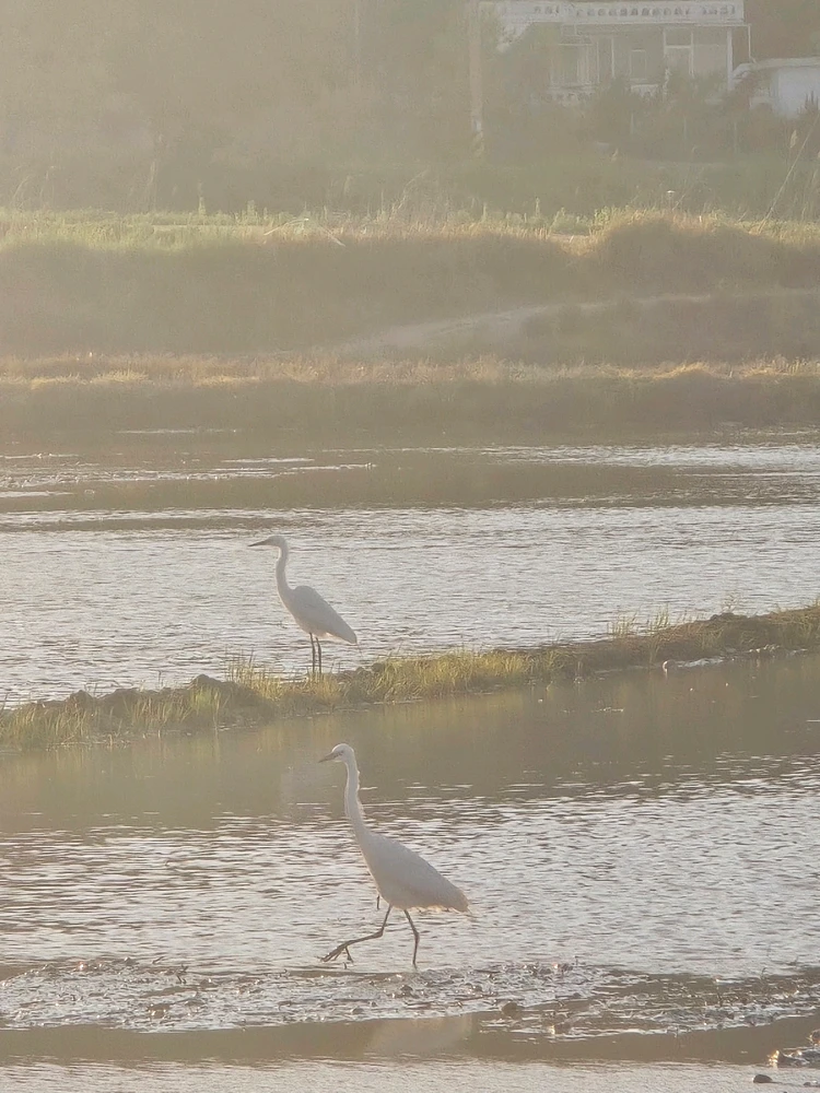 GIF uploaded by Antonette