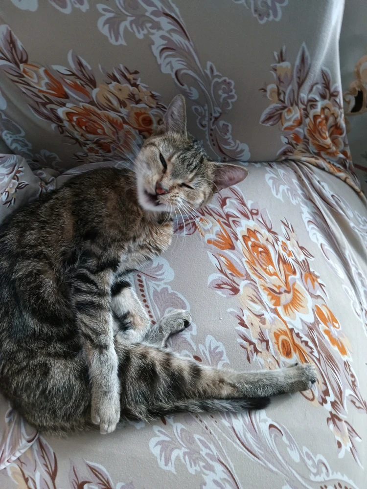 Obrázek nahrál Jaroslav