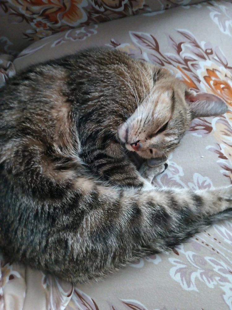 Obrázek nahrál Jaroslav