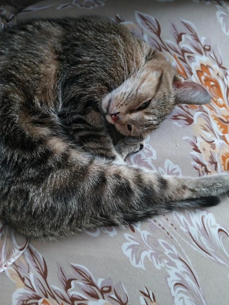 Obrázek nahrál Jaroslav