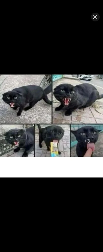 GIF uploaded by *JB* 🇬🇧🇬🇷