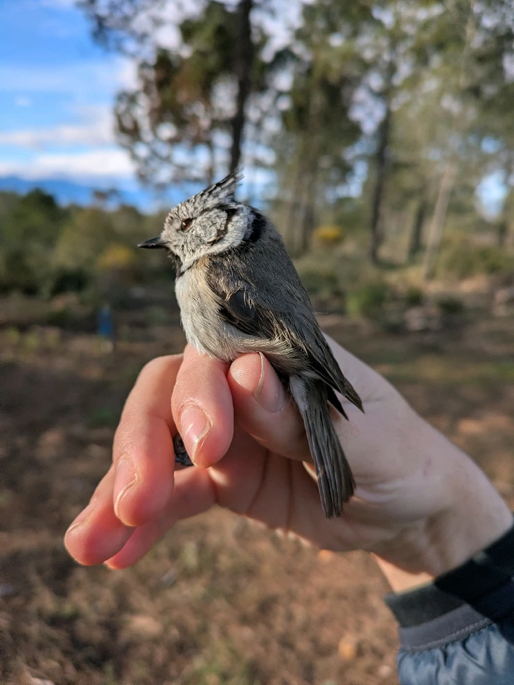 Image uploaded by Jesús