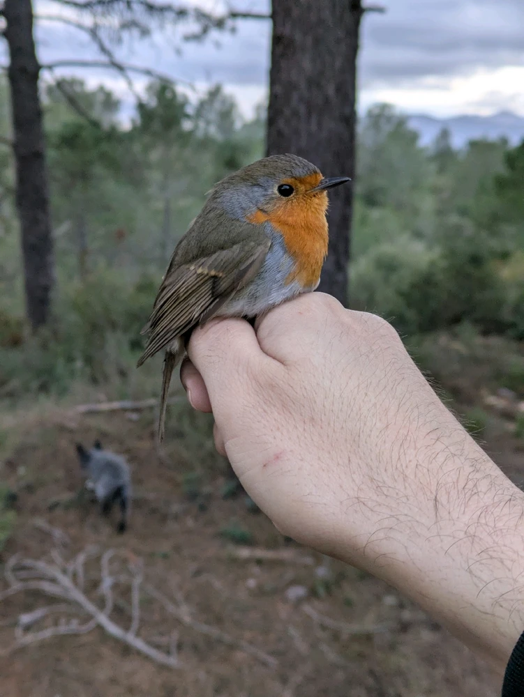 Image uploaded by Jesús