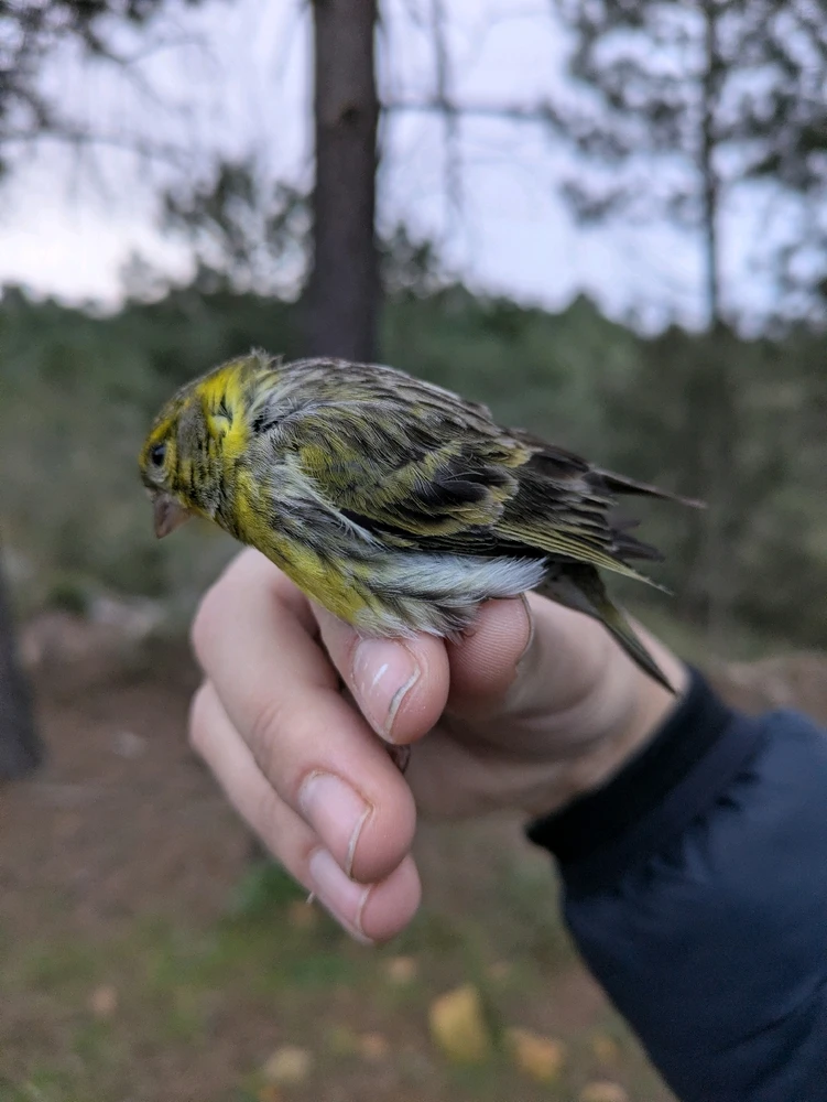 Image uploaded by Jesús