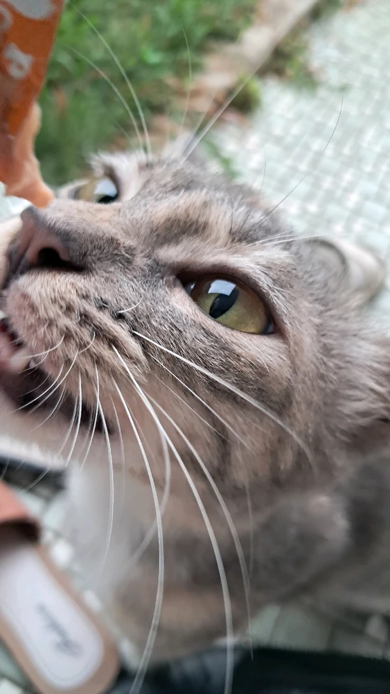 Image uploaded by Aly