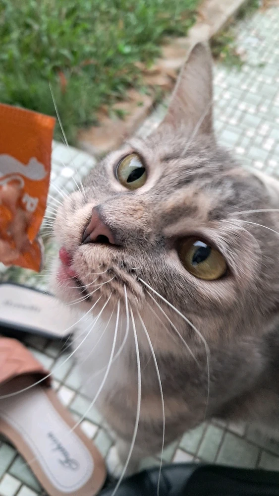 Image uploaded by Aly