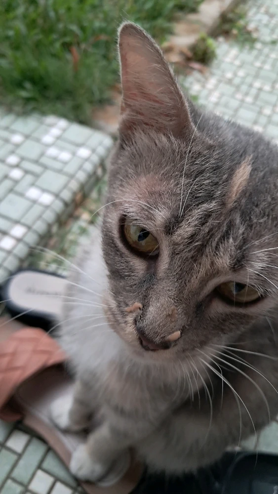 Image uploaded by Aly