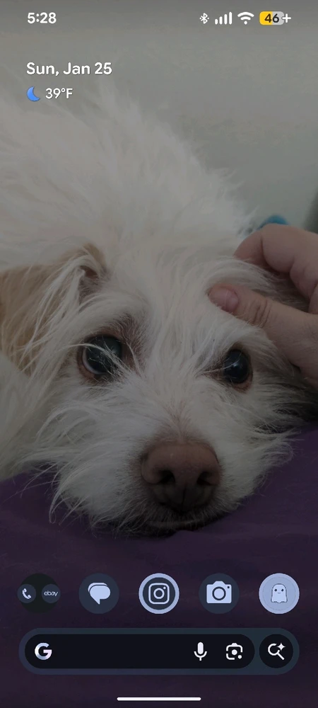 GIF diunggah dening Bun