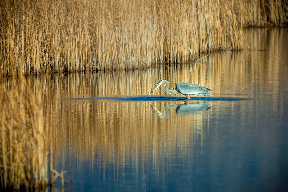 Image uploaded by Jake