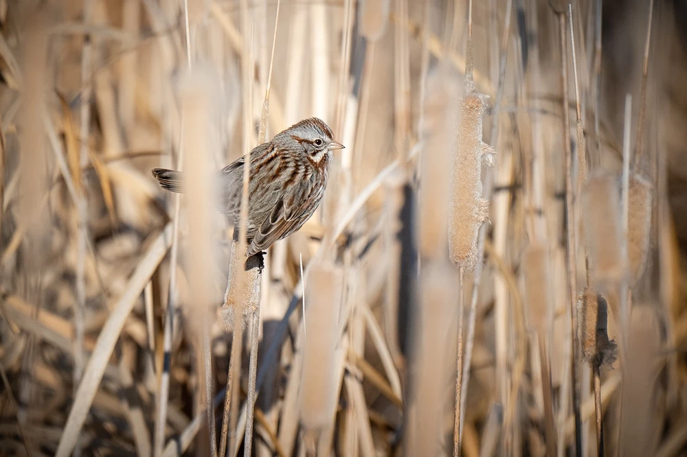 Image uploaded by Jake