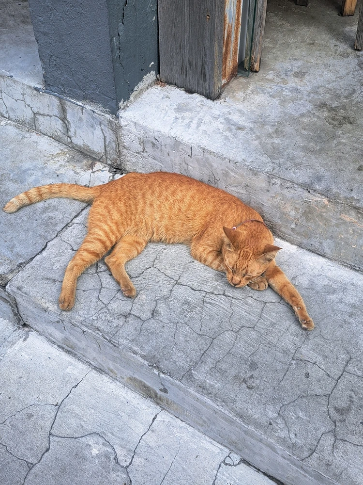 Image uploaded by Rize