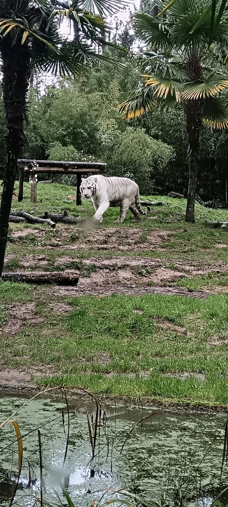 GIF ajouté par Hugo