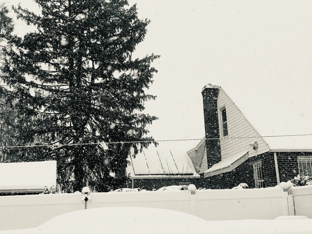 I-upload ni D ang larawan