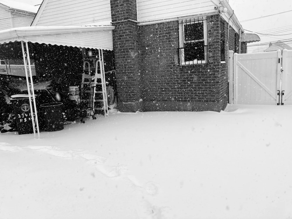 I-upload ni D ang larawan