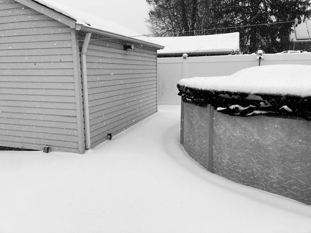 I-upload ni D ang larawan