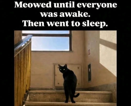 GIF uploaded by DezzieDee