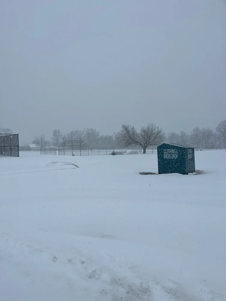 Image uploaded by Mario