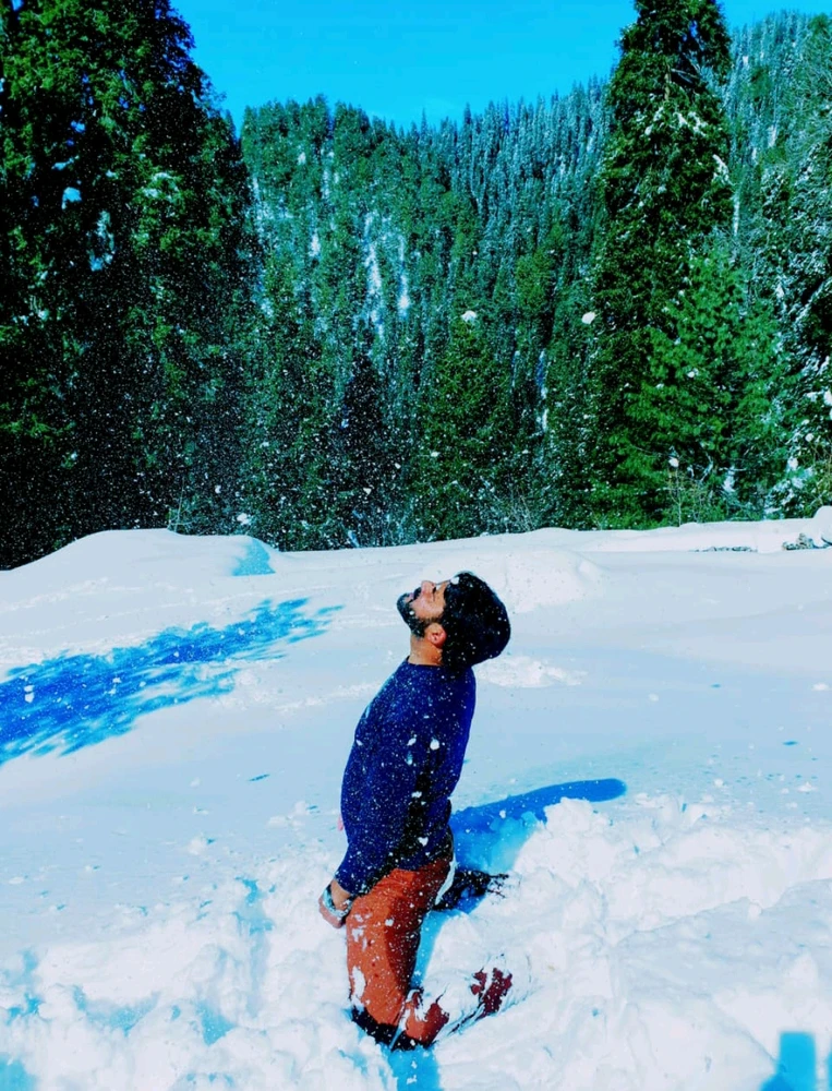 GIF tso los ntawm Zaidi