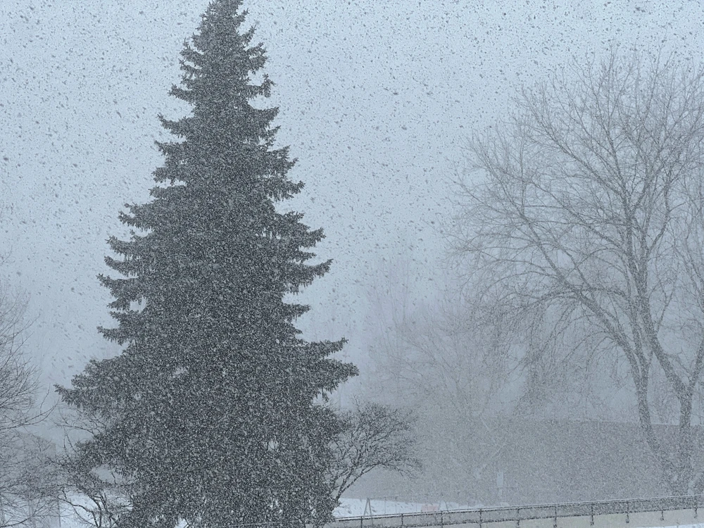 GIF uploaded by Candice