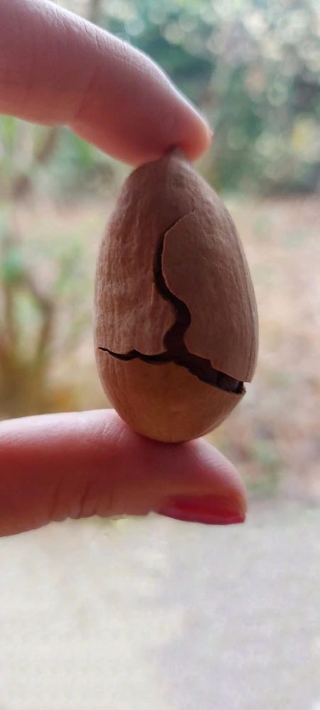 GIF caricata da 𝘎𝘪𝘢𝘱 ✨️