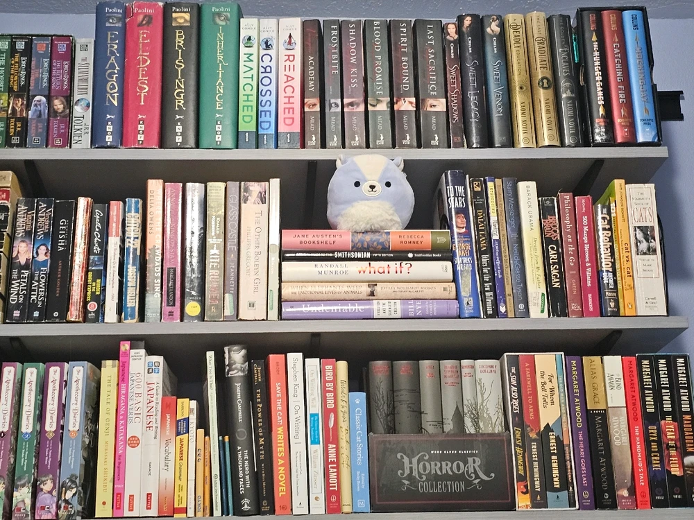 Image uploaded by Olivia