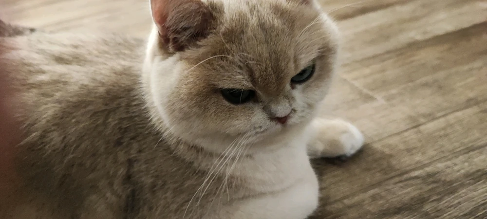 Image ajoutée par Justine