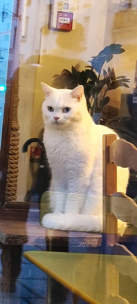 Image ajoutée par Justine